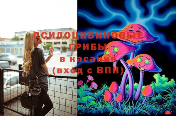 PSILOCYBIN Абаза