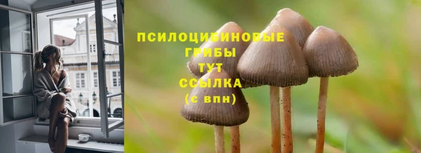 гашик Абинск