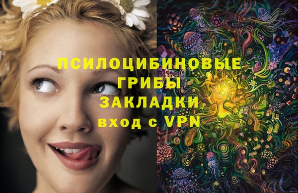 гашик Абинск
