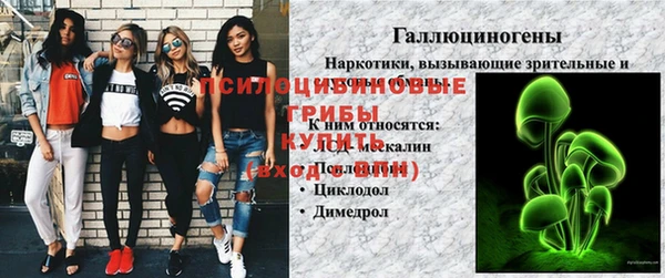 PSILOCYBIN Абаза
