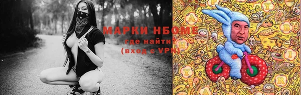 гашик Абинск