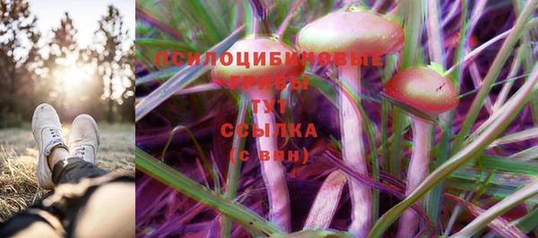PSILOCYBIN Абаза