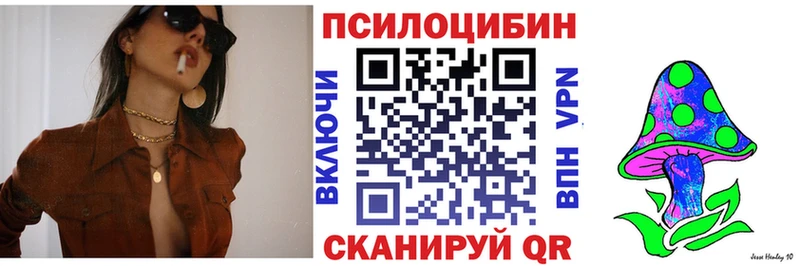 Псилоцибиновые грибы Psilocybine cubensis  где продают наркотики  Чекалин 